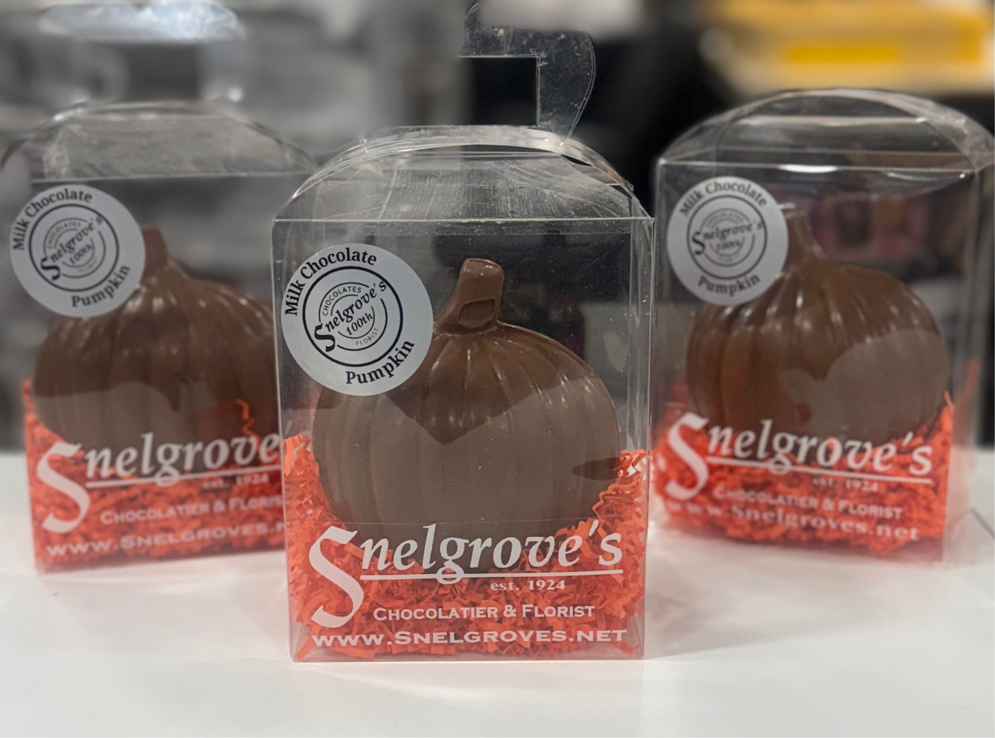 Chocolate Pumpkin /Small