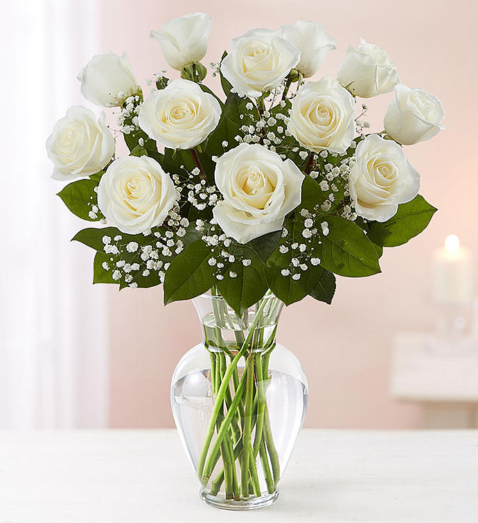 Bountiful White Rose's Vase