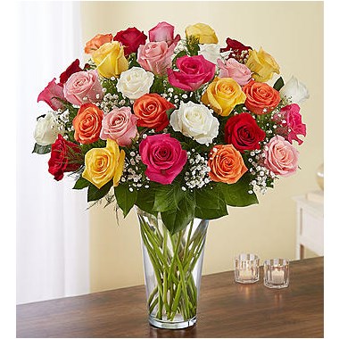 Mixed color roses