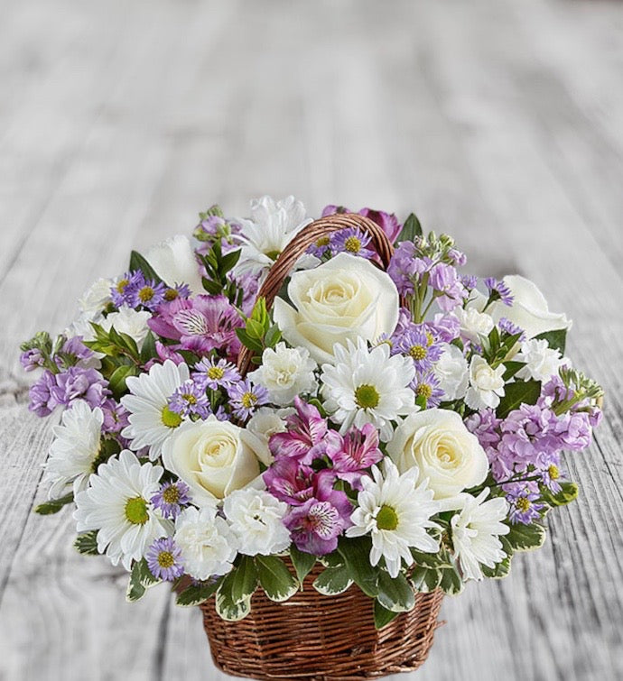 lovely lavender plant Lovely Lavender – Snelgrove's