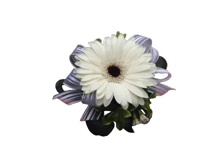 Wrist Corsage - White Gerbera Daisy