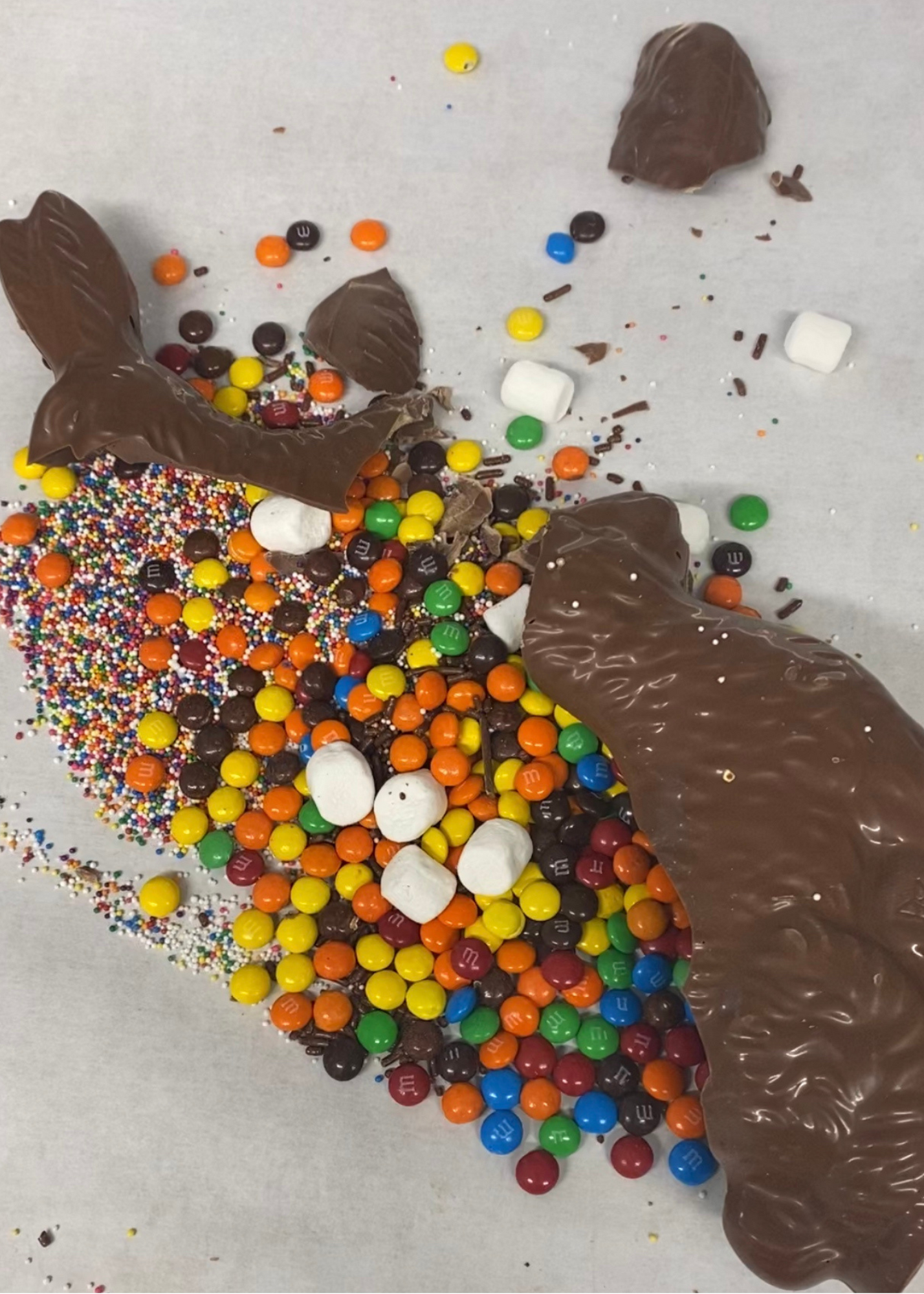 Breakable Dark Chocolate Bunny