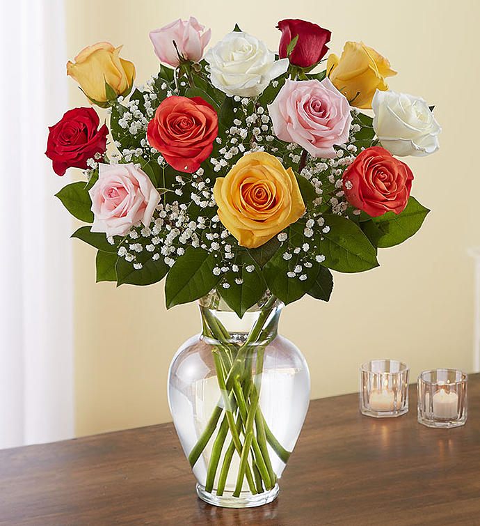 Mixed color roses