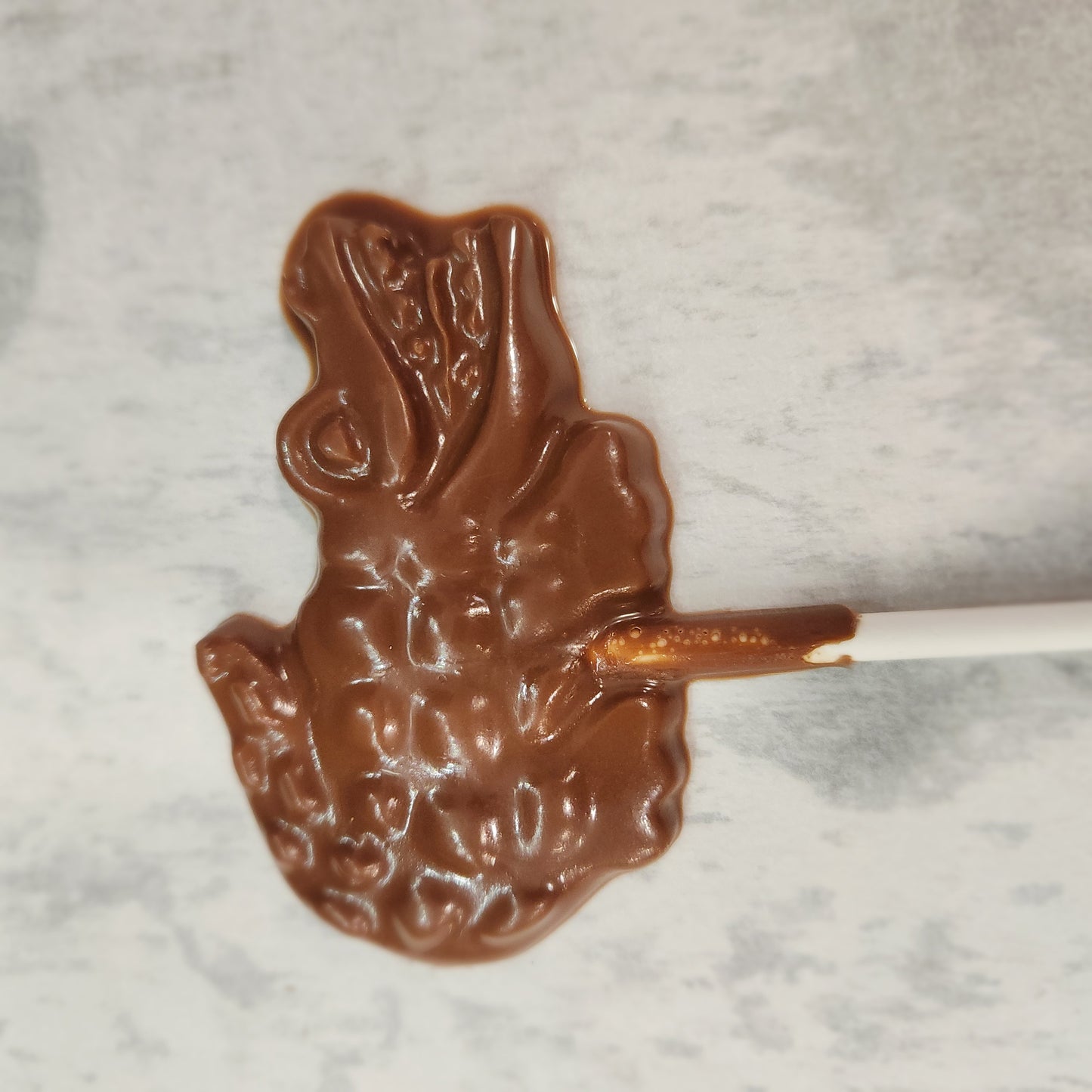 Alligator Pop