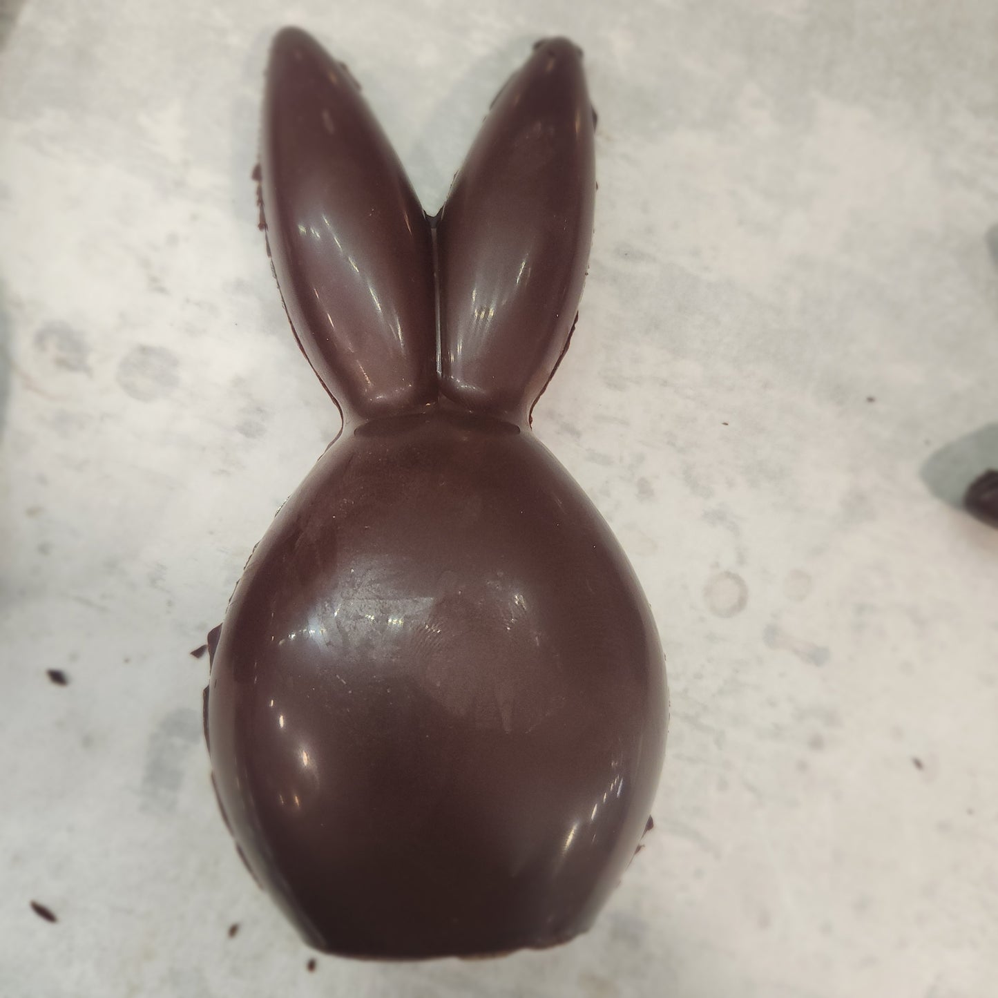 Bunny Head