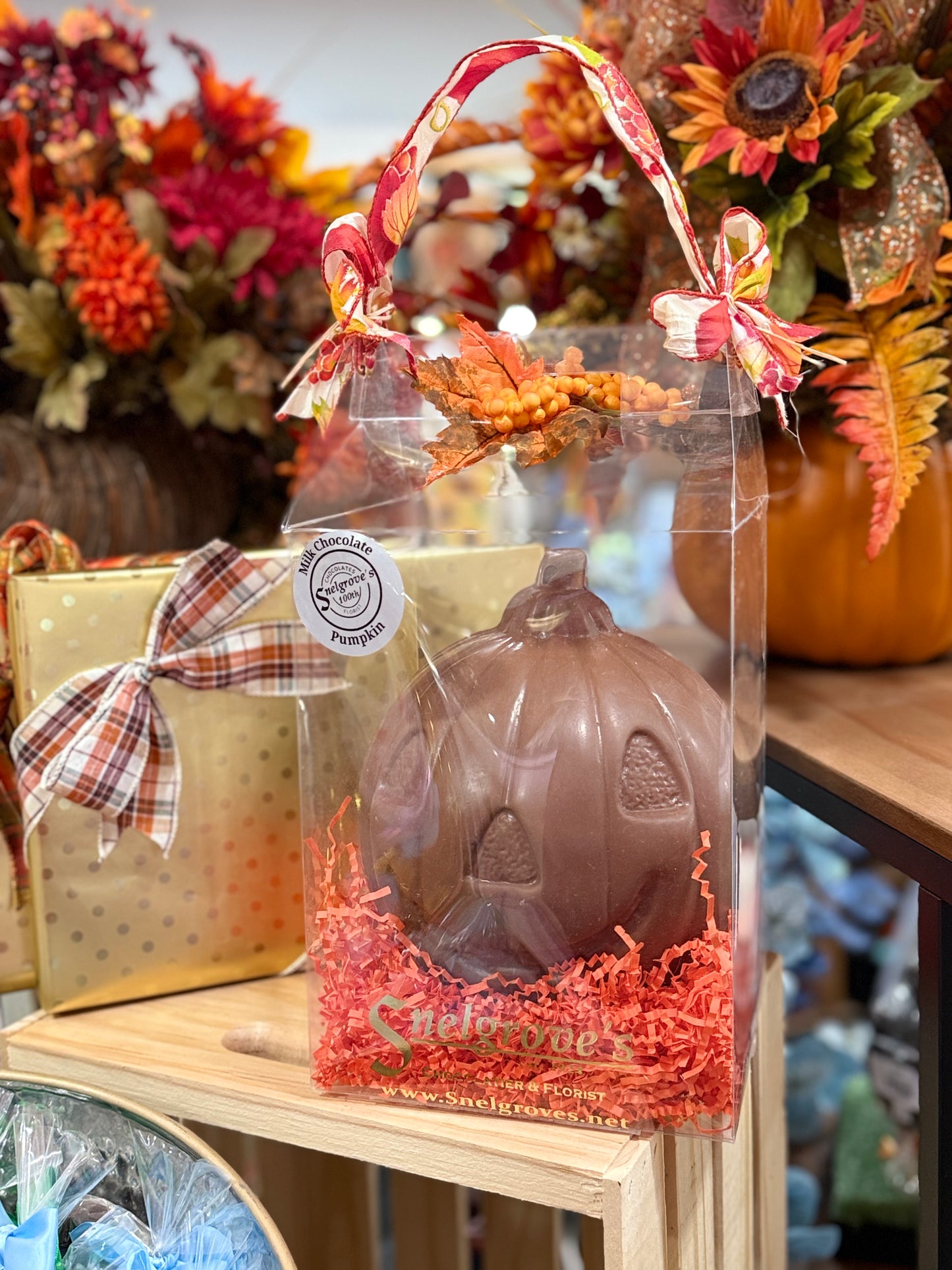 Chocolate Pumpkin / Large