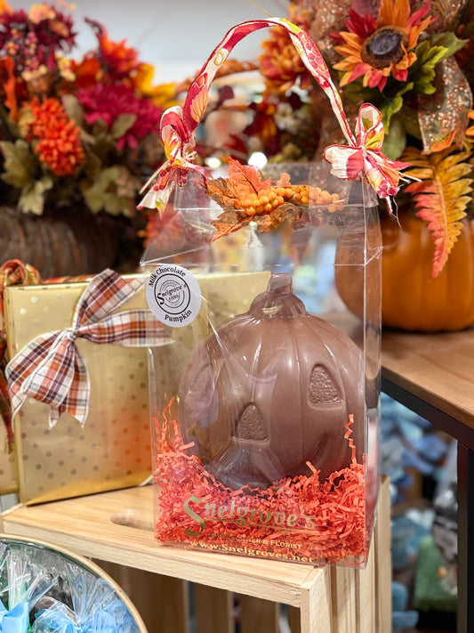 Chocolate Pumpkin / Large