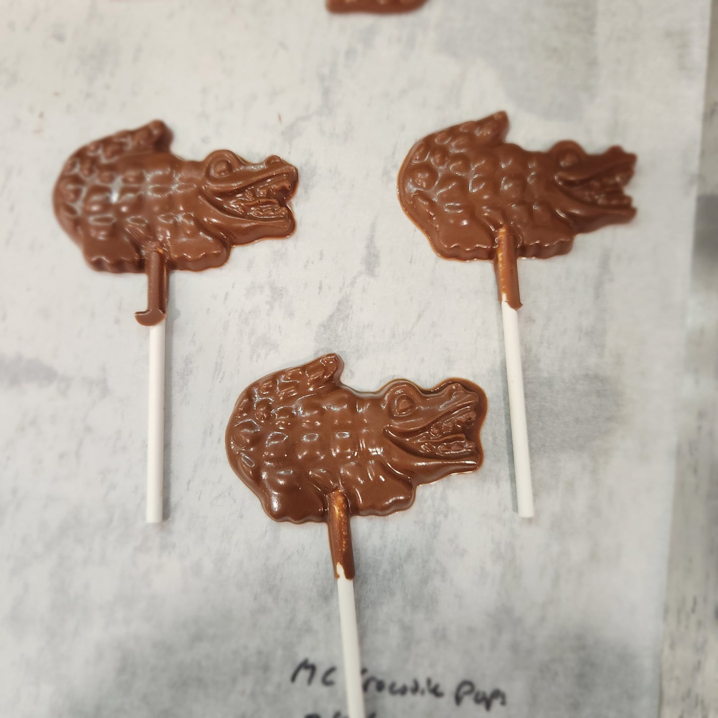 Alligator Pop