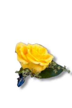 Men's Rose Boutonniere - Yellow
