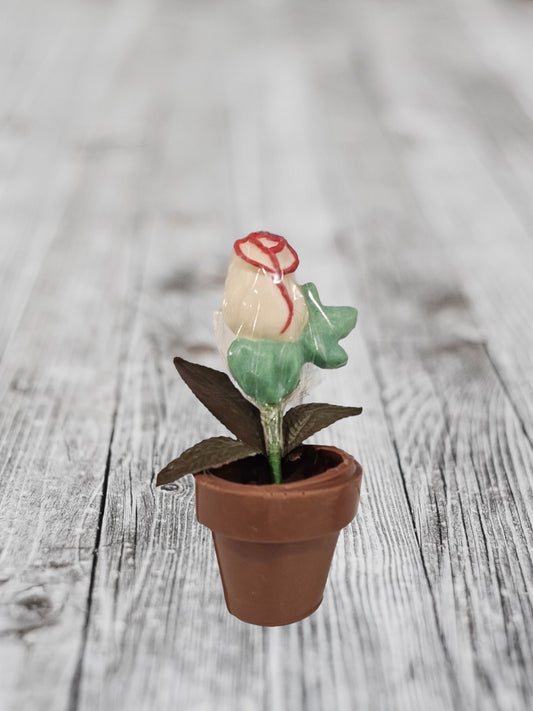 Chocolate Potted Rose