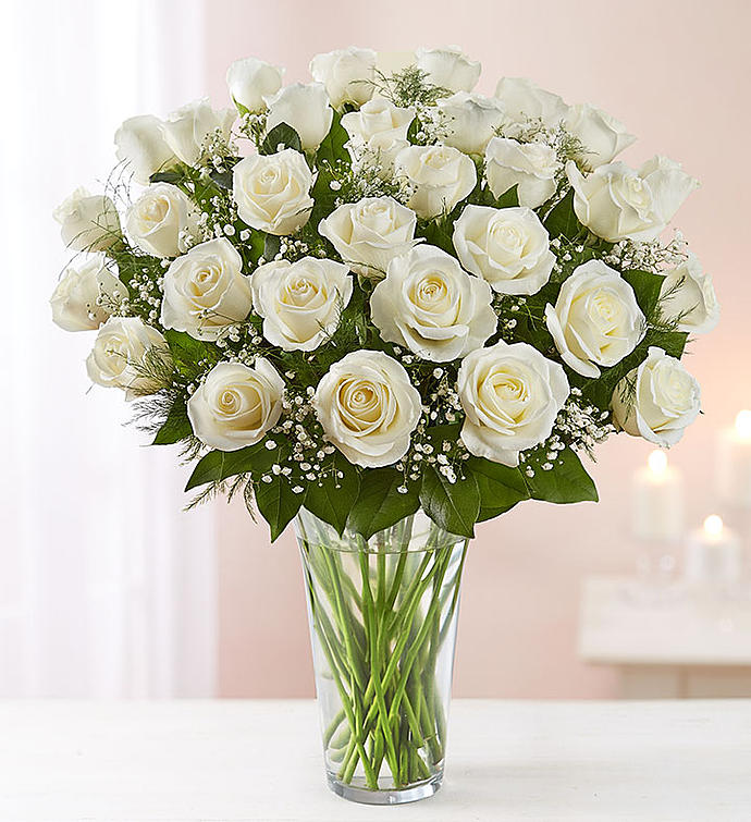 Bountiful White Rose's Vase