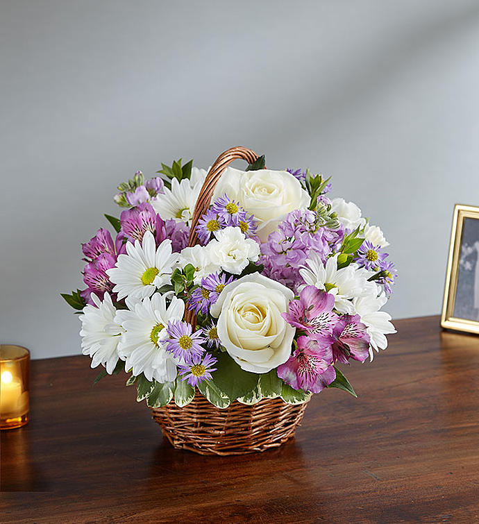lovely lavender plant Lovely Lavender – Snelgrove's