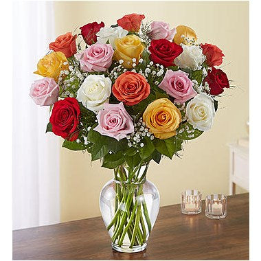 Mixed color roses