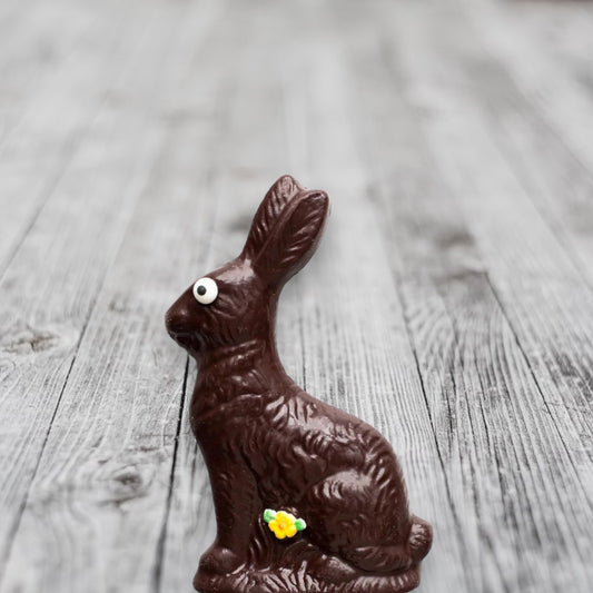 Medium Dark Chocolate Bunny