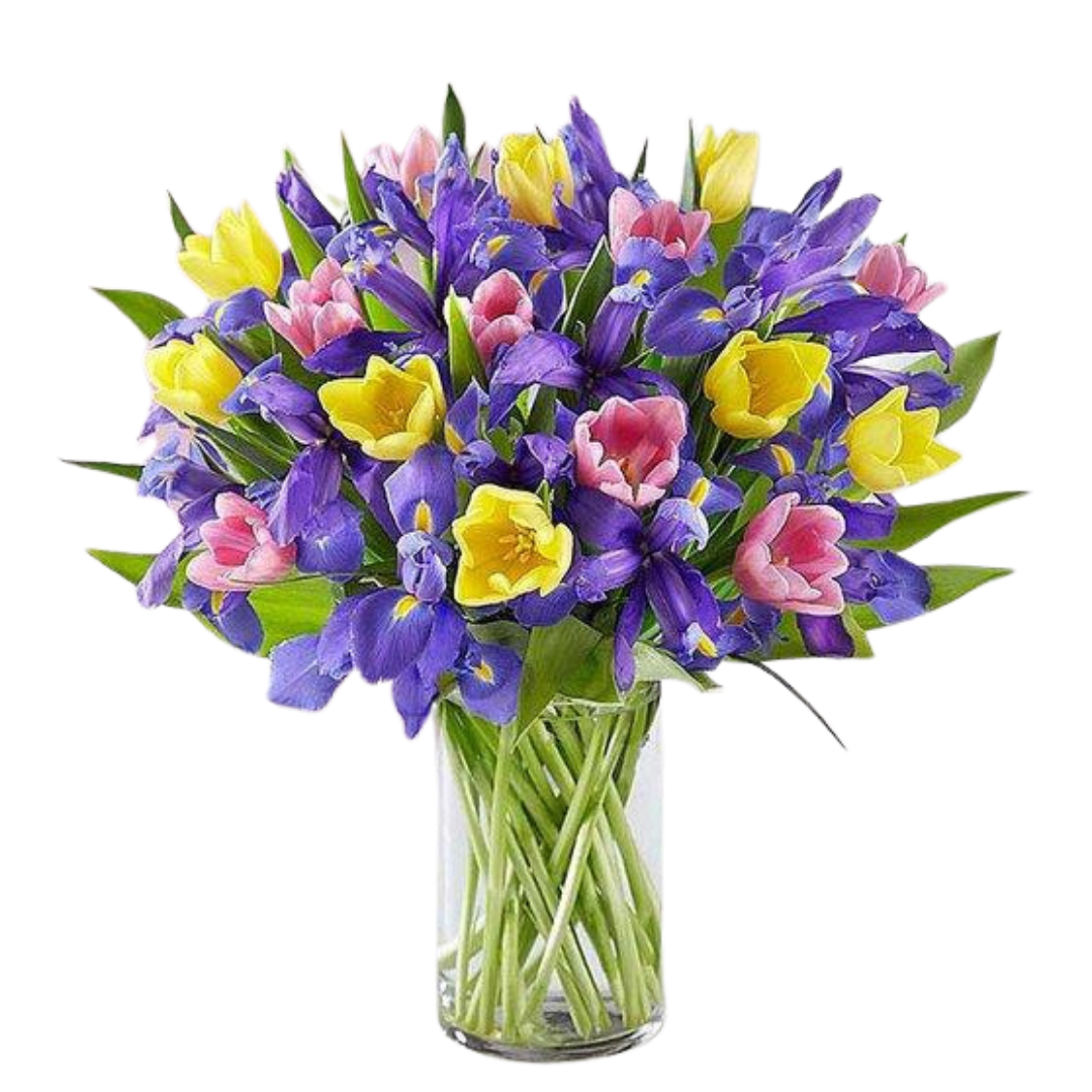 Spring Tulip & Iris