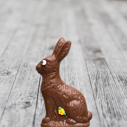 Medium Milk Chocolate Bunny