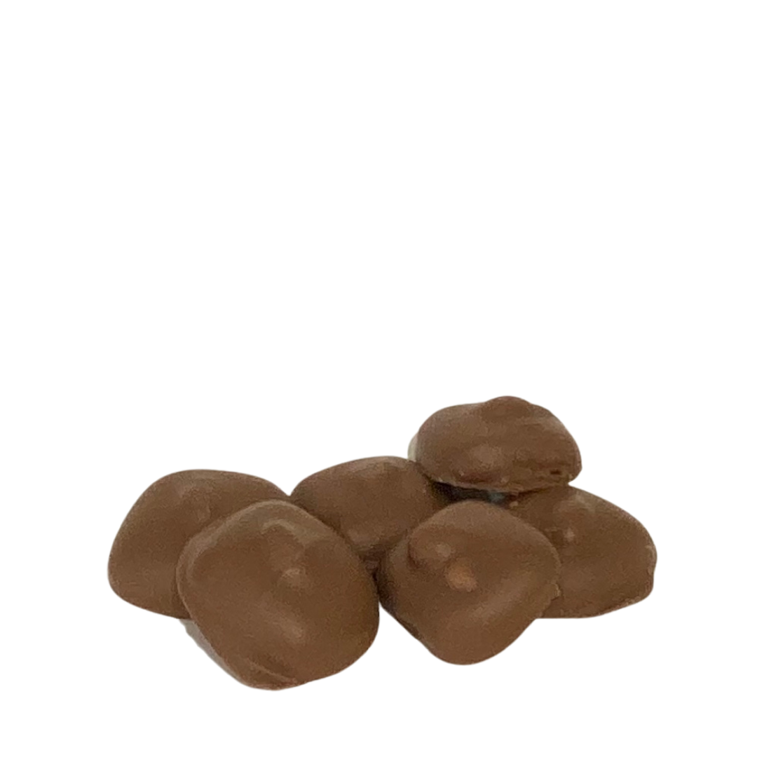 Chocolate Peanut Caramel Squares