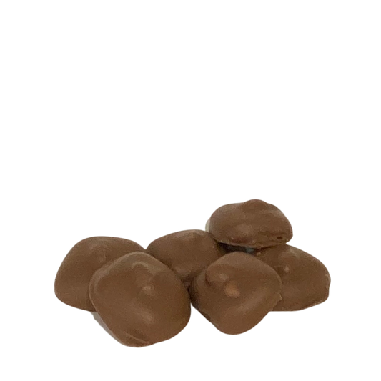 Chocolate Peanut Caramel Squares