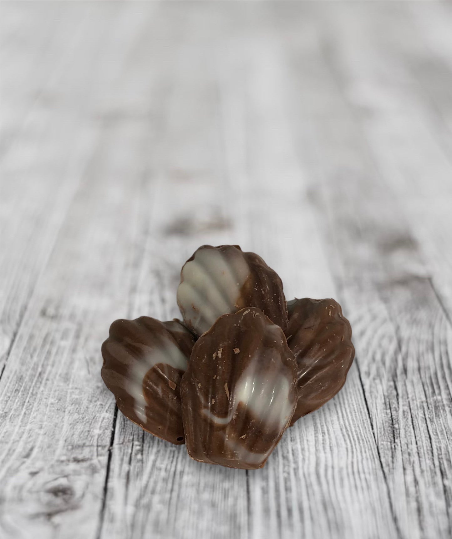 Chocolate Sea Shells